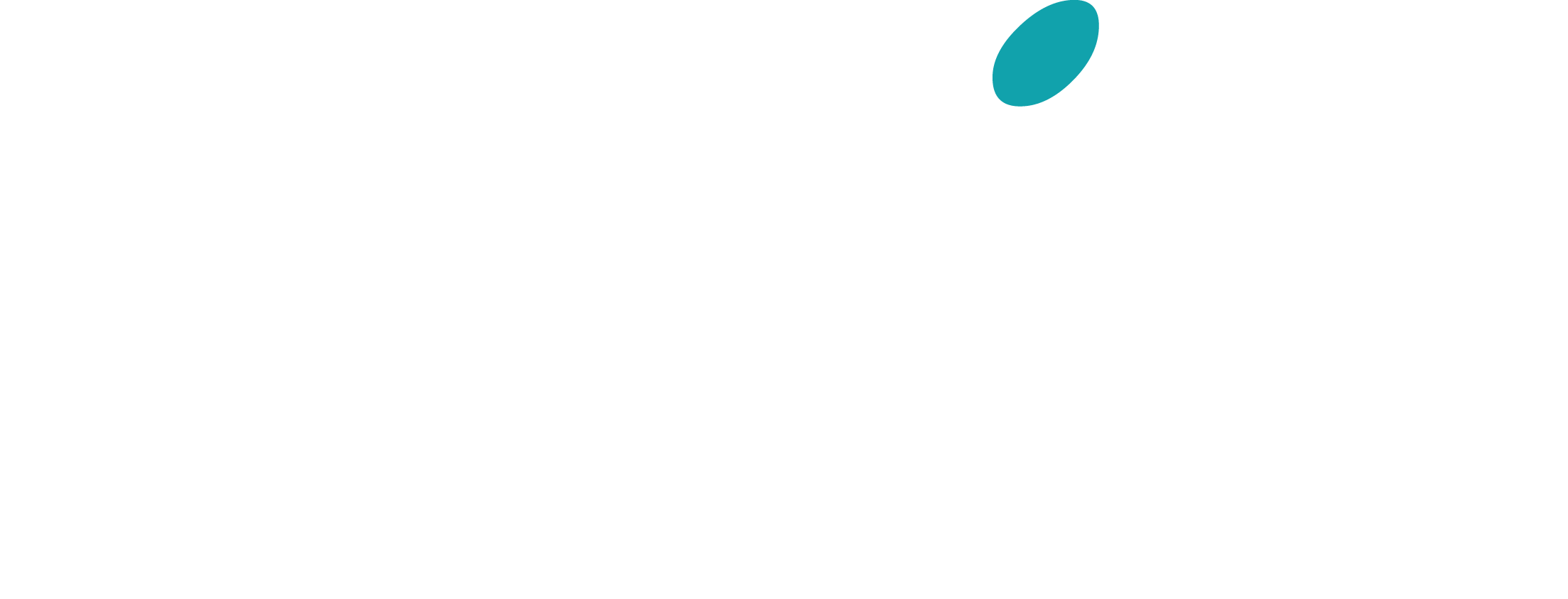 RAIZ Logo